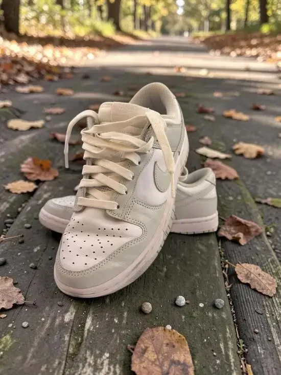 Nike Dunk Low Light Bone - Picture 1 of 16